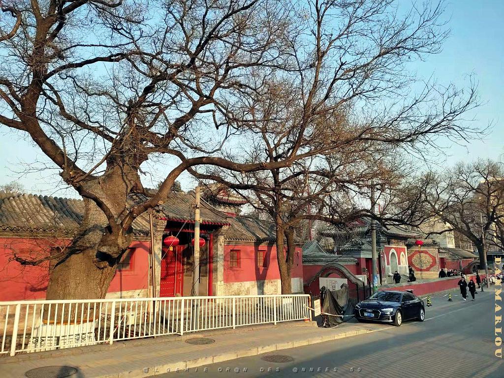 2023 02 05  PEKIN - WANSHOU TEMPLE LONGEVITE BIENVEILLANCE (2).jpg